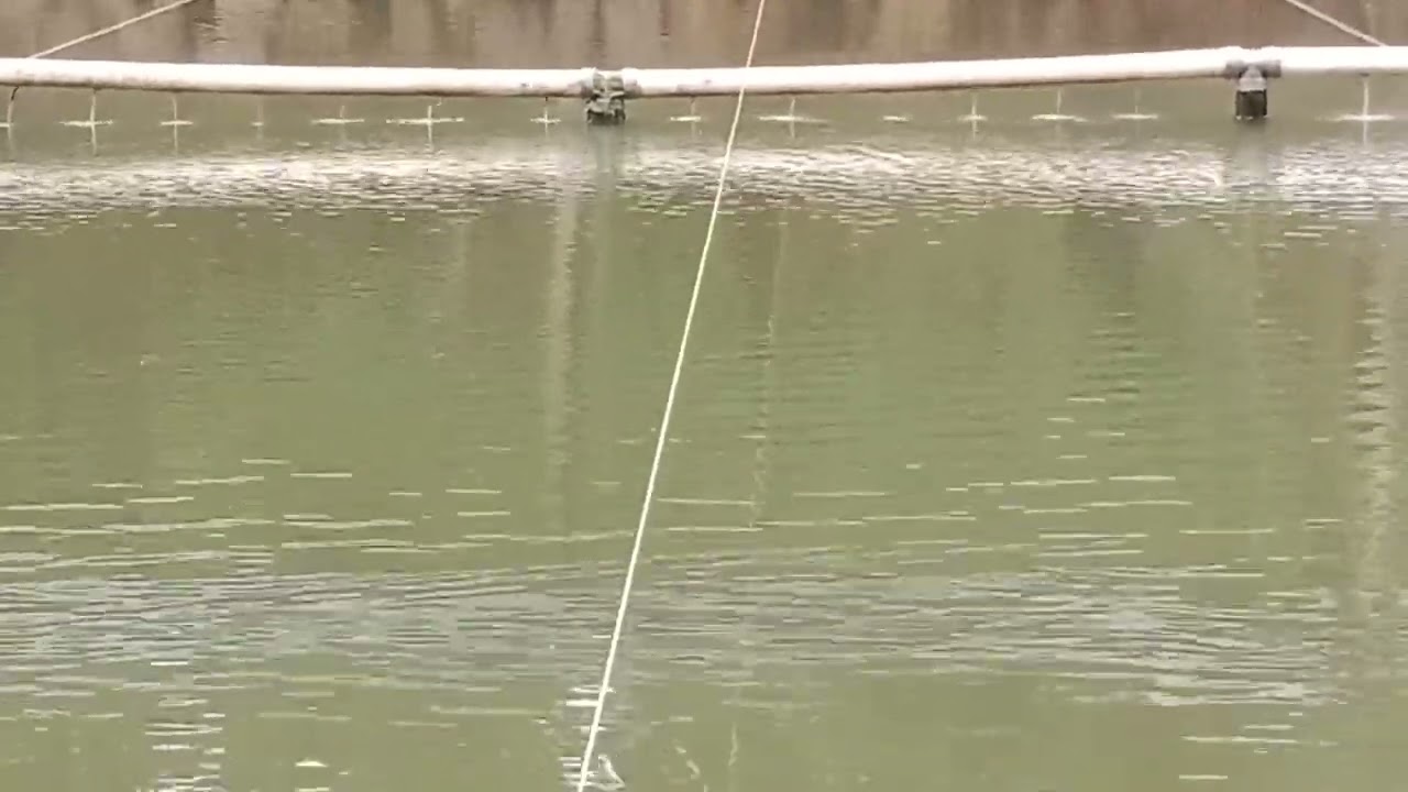  Sesak yang di kangen aku neng tong gas 🤣jek kangen- kangen gang bang 🎣🐟