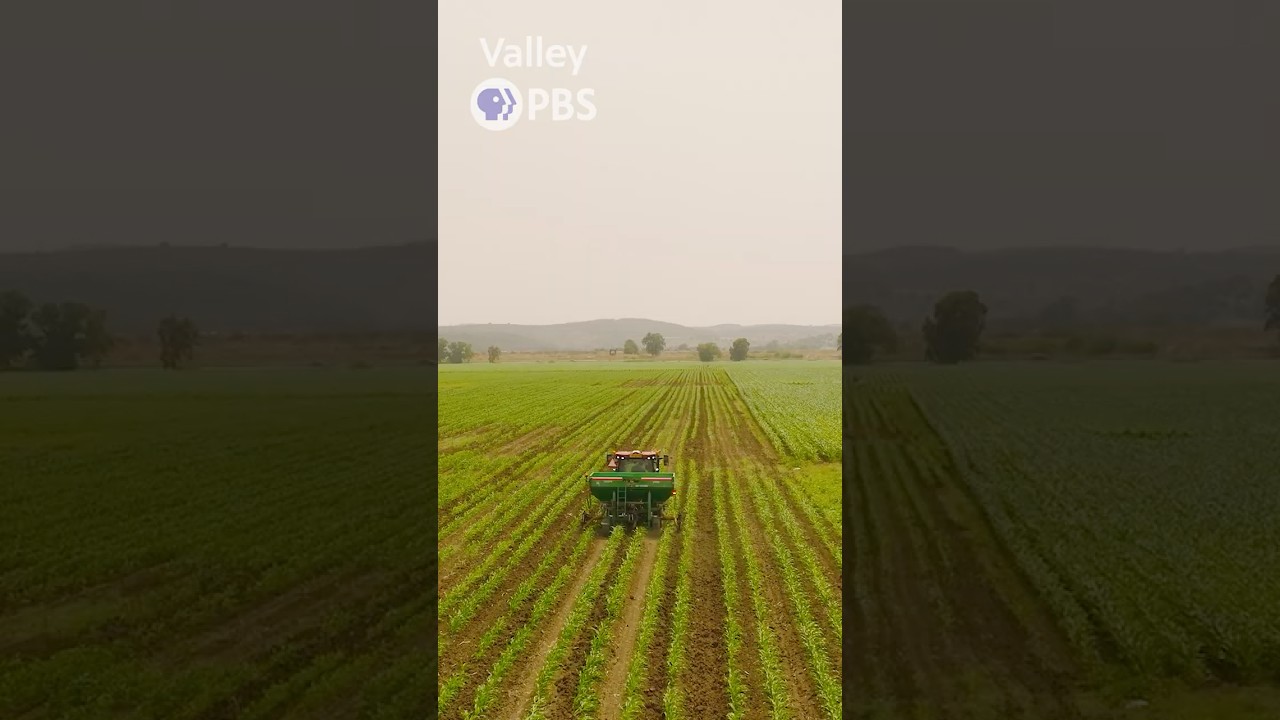 Did you know you can grow crops... IN THE WINTER?!?! 