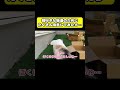 箱好きの猫達のために…#猫 #おもしろ #アテレコ #ニャンチューバーつくし