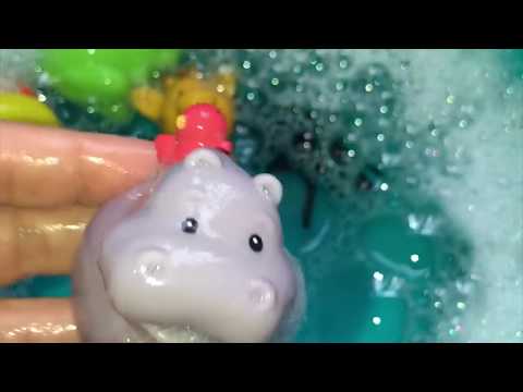 learn-zoo-shark-animals-in-soapy-water-play-wild-kids-children-parents-educational-playing