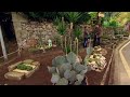 Visita al jardín de cactus Chihuahua - Decogarden - @Jardinatis