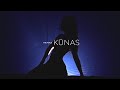 THE PiXLS - Kūnas