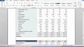 Business Plan Financials Tutorial