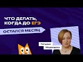 Что делать, когда до ЕГЭ остался месяц | ЕГЭ-2023 | «Фоксфорд»