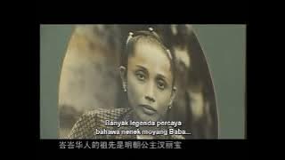 扎根 Baba dan Nyonya (Malay Subtitles) - 峇峇老屋裏的春天
