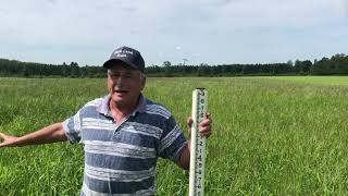 Forage crabgrass, an alternative forage for the upper Midwest: A farmers perspective