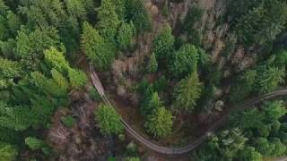 Emerald Farm Tours | Mendocino County Harvest Tours | Emerald Triangle - "We're Open"