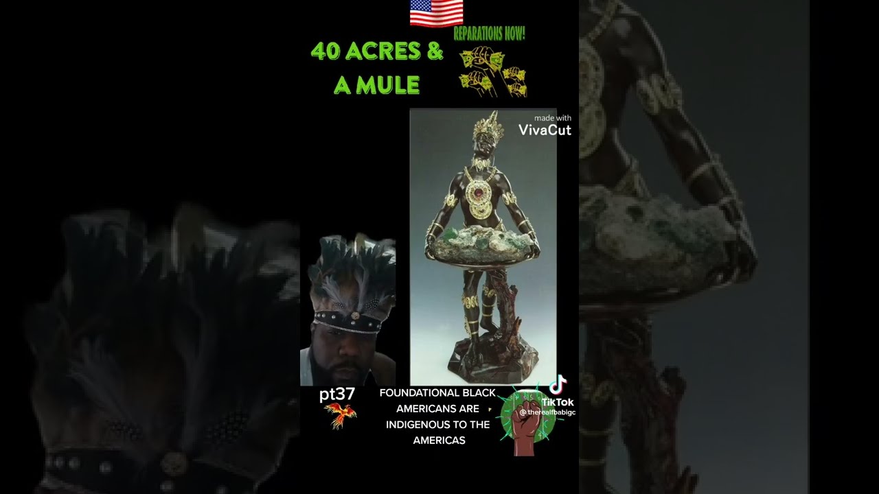 We R The Original Copper Colored American Indians That U Don’t See on TV 📺 & in School 🏫