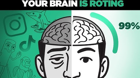Are You Suffering From Brain Rot? And How To Fix It