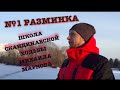 Разминка перед Скандинавской ходьбой (ENG SUB)