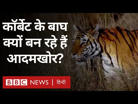 वीडियो: बायोलीचिंग बीबीसी बाइटसाइज़ क्या है?