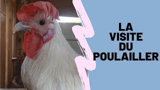 9# Visite du poulailler