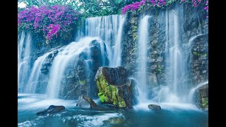 Clearing Interfering Programs in Your Twin Flame Healing Chamber