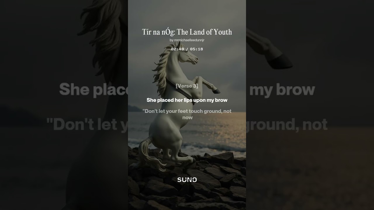 Tír na nÓg  The Land of Youth