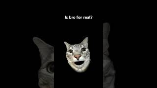 Is bro for real? #shortvideos #funny #music #memes