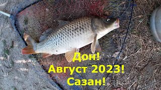 Рыбалка и отдых  на Дону с друзьями! Ловим сазана! Август 2023! ч. 1-ая