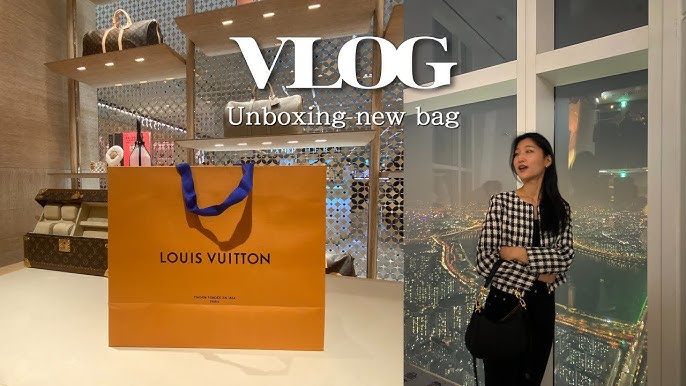Louis Vuitton Bagatelle Hobo Bag, Bragmybag