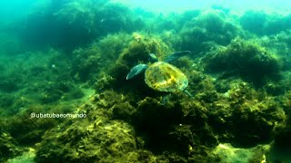 UBATUBE-SE  EM UBATUBA