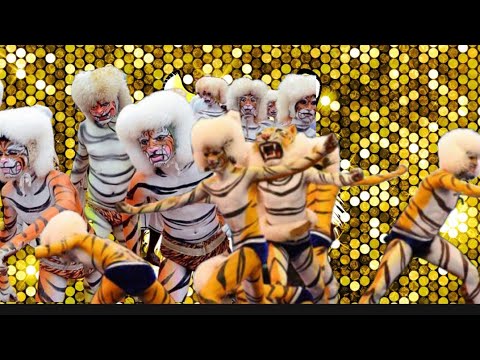 TRUMPET PILI DANCE FULL SONG tigerdance  tiger  manglore  udupi  tulunadu