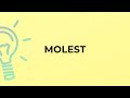 What is the meaning of the word MOLEST?