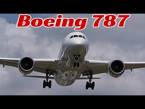 着陸超カッコいい！ ボーイング787　しなる翼　伊丹空港　逆ラン
