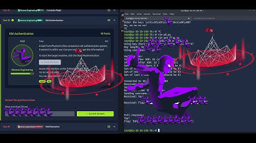 Old Authentication: TryHackMe - Reverse Engineering & Binary Exploitation CTF - Hackfinity Battle