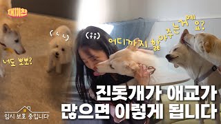 An unexpected side to Ara, who is a Jindo addicted to kisses, we didn't get to see before | Ep.132
