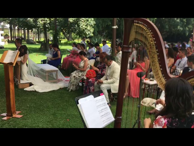 Arpa en tu boda en Morelos