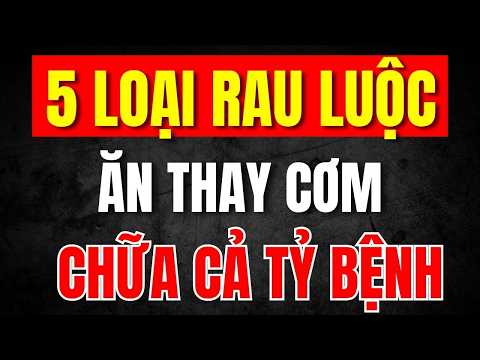 Bác Sĩ Mách