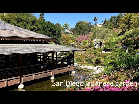 【アメリカ旅行】サンディエゴ バルボアパーク 日本庭園 hqdefault