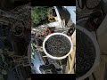 FeatherGrid System — Automation in Motion - 08 November 2025 #homelab #garden #shorts