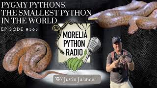Python Talk w/ Eric & Owen