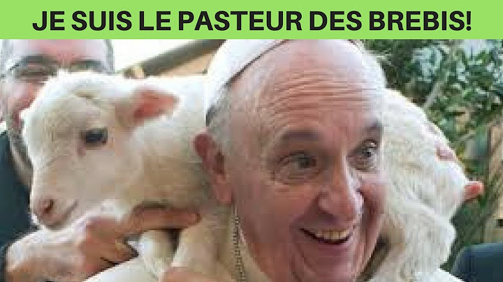 URGENT: ON CHERCHE DES BREBIS!