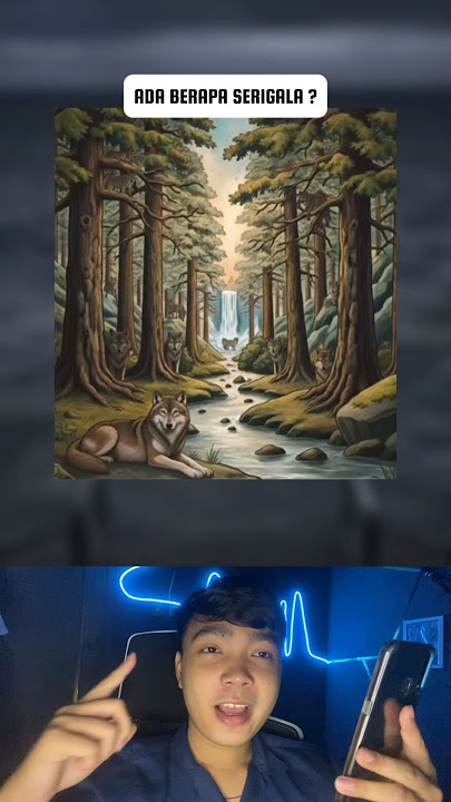 You think there's only one wolf in this picture, but in reality there are many. Focus more, try it 😭