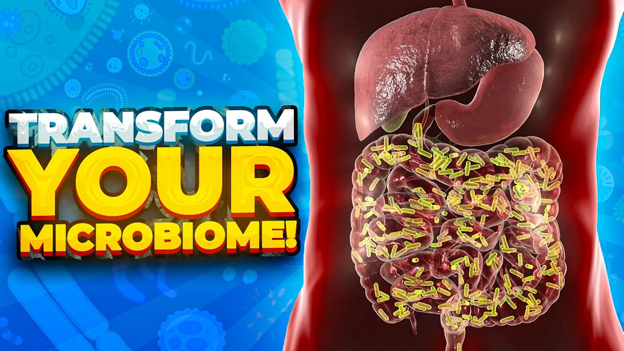 Gut Health Secrets - Foods That Help Keep Your Microbiome Healthy - YouTube