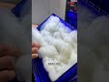 昨天放到魚缸裏的魚，今天就找不到了，養魚佬翻來覆去的找 #養魚日記 #觀賞魚 #水族 #養魚佬的日常