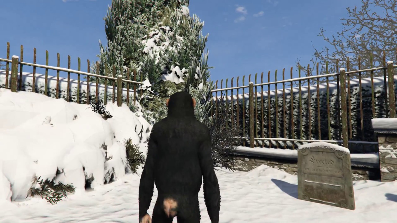 Grand Theft Auto V (GTA 5) - Bubbles: Memories (made with Open Camera Mod)