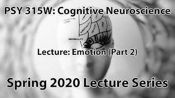 Emotion (Part 2) || Cognitive Neuroscience (PSY 315W)