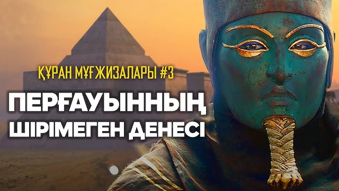 Әдемі әйел аяқтары мен қынап