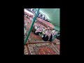 زوماله احمد حامد السريحي ابو حامد 