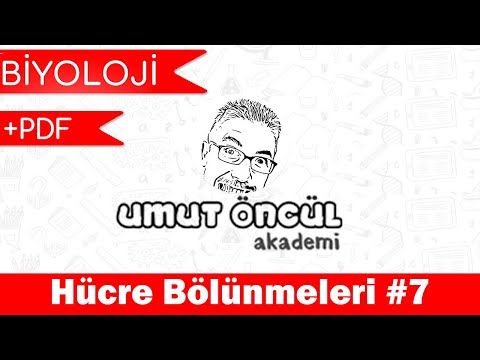 Biyoloji | TYT | Hücre Bölünmeleri #7 | +PDF