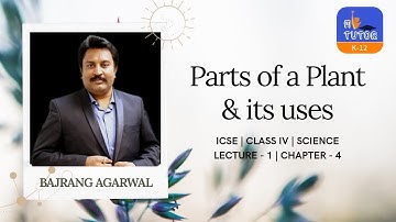 ICSE | CLASS IV | SCIENCE | CHAPTER 4 | LECTURE 1 | PARTS OF A PLANT AND THEIR USES