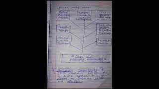 steps of prescribing medications and prescribing competencies....##PHARMACOLOGY