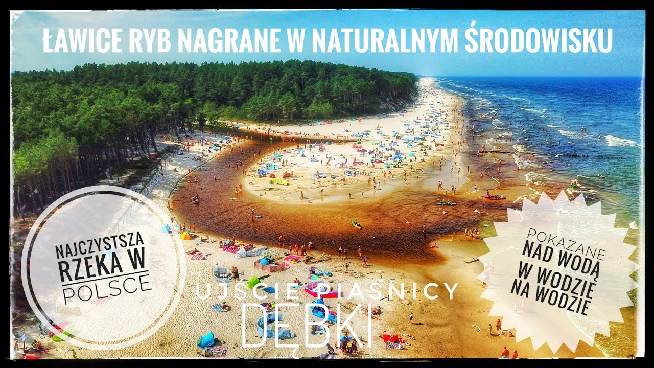 Rzeka Piaśnica - Nurkowanie wśród ryb & Pokazana z Lotu Ptaka