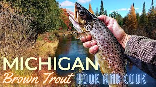 Northern Michigan BROWN TROUT | Fish Camp Hook and Cook