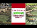 Chức năng cực hay của phím f4 | Tin học văn phòng