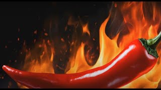 Can You Survive the 2-Minute Spice Gauntlet?