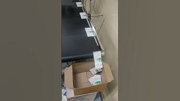 Batch Coding on Gum Labels with Codpad T180 Single Head TIJ Printer on Belt Conveyor