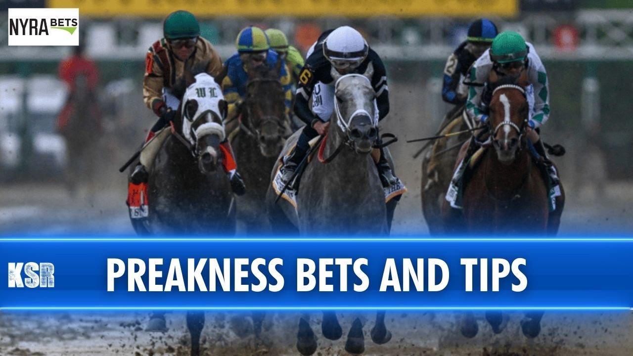Preakness Stakes 150 Expert Betting Tips and Advice