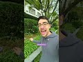 garlic's TOXIC lookalike